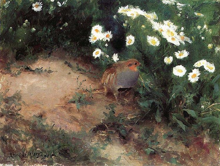 Partridge with Daisies, bruno liljefors